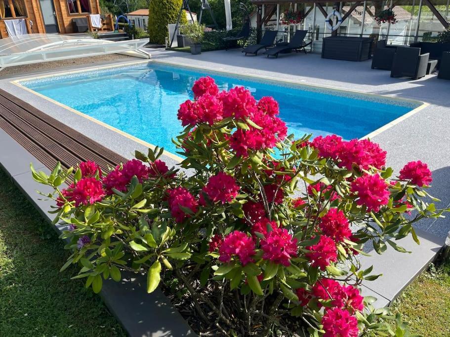 Chalet 2 Personnes Avec Jacuzzi Et Piscine Saisonniere Partagee Corcieux Eksteriør bilde